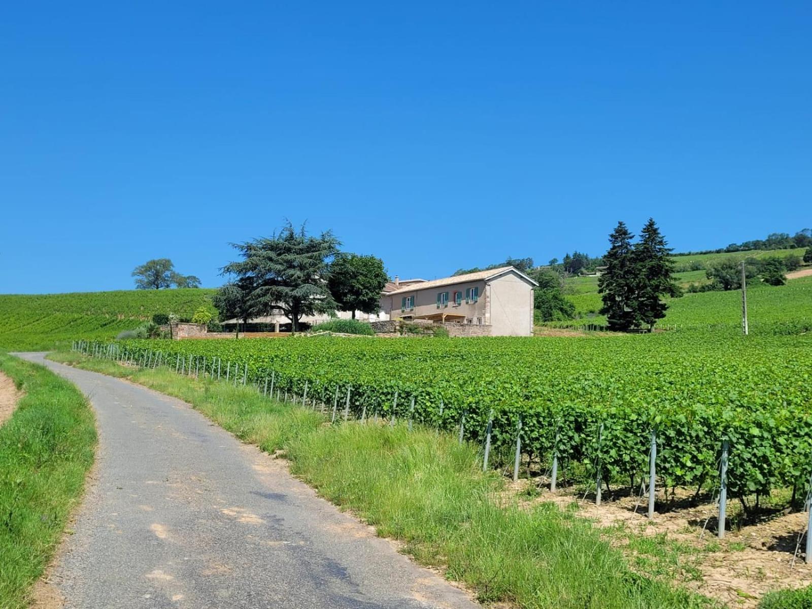 La Maison De Bruno Julienas Exterior photo